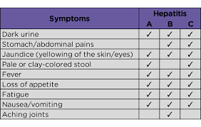 Image result for hepatitis symptoms