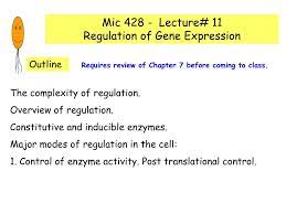 Ppt Mic 428 Lecture 11 Regulation Of Gene Expression Powerpoint Presentation Id 3716777