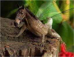 Can you imagine the scene? Amazing Very Funny Photoshopped Animals Photo Incredible Funny Weird Crazy Zoo Pics Hibirds Morphing Steemit