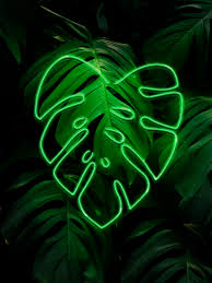 Check spelling or type a new query. Buy Leaf Green Neon Wallpaper Free Shipping At Happywall Co Uk