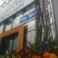 Alles rund um die floristik in rosenheim und umgebung. Bellandris Gartencenter Brianconstr 5