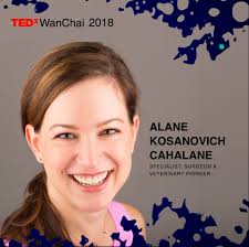 ✨SPEAKER SPOTLIGHT: Alane Kosanovich Cahalane, Specialist, Surgeon &  Veterinary Pioneer Dr. Alane K. Cahalane