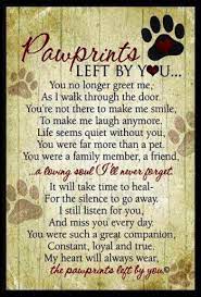 It is a beautiful poem for anyone coping with the loss of a dear pet. Pet Loss Poems