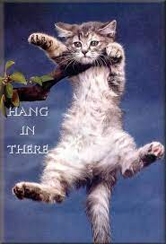 Pin On Sayings I Want To Cross Stitch