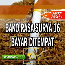Tembakau Sekayu 082220111046 Tembakau Tembakau Rokok Tembakau Gayo Aceh Tembakau Jawa Tembakau Vietnam Tembakau Darmawangi Tembak Virginia Semarang Tawon