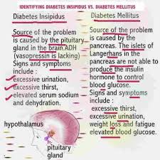 difference diabetes insipidus mellitus nursing