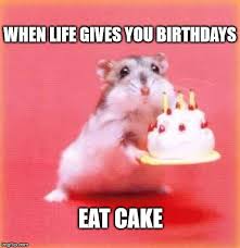 Birthday Cake Happy Birthday Meme Funny For Her Top 100 Original And Funny Happy Birthday Memes Cute Happy Birthday Happy Belated Birthday Happy Birthday Me