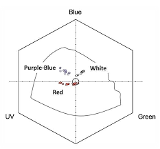 A complicated topic is made easier with this title introducing flowers and explaining their anatomy and how they reproduce. Plants Free Full Text Flower Colour Polymorphism Pollination Modes Breeding System And Gene Flow In Anemone Coronaria Html