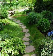 Also, apparently grass and pine trees need different. Miniature Plant Power With Stepables Moss Gardens Moss Garden Lawn And Garden