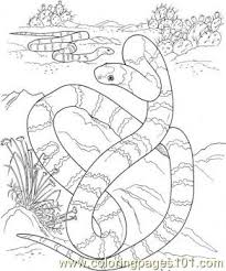 Surviving on very little water, plants, animals and people make this place their home. Long Snake In A Desert Coloring Page For Kids Free Snake Printable Coloring Pages Online For Kids Coloringpages101 Com Coloring Pages For Kids