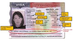 We did not find results for: Https Save Uscis Gov Web Media Resourcescontents Saveguidecommonlyusedimmigrationdocs Pdf