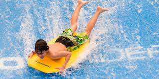 They can live in residences, in garbage, in yards, in parks, and other areas that are indoor and outdoor. Wild Waterdome Indoor Waterpark Wilderness At The Smokies