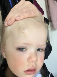 Girls' softball bats with great hits