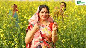 Farmers Working in Field