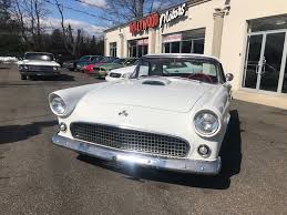 Image result for Snowshoe White 1955 Thunderbird