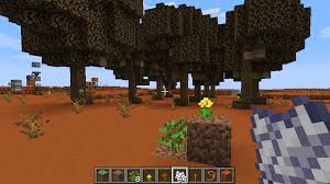 Dark Oak In Minecraft