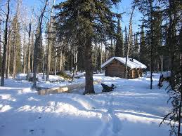 Luxuryhotelsguides.com has been visited by 100k+ users in the past month Hd Wallpaper Denali National Park Alaska Landscape Log Cabin Winter Wallpaper Flare