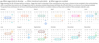 How Many Eggs Do Women Have At Every Age Cny Fertility