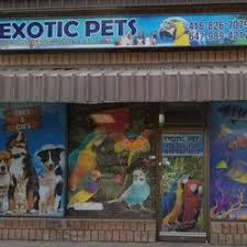 In the pet store category. The Best 10 Pet Stores In Toronto On Last Updated July 2021 Yelp