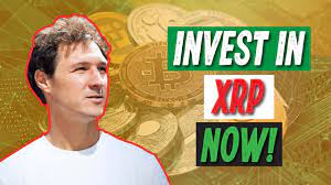 Xrp can be used in the ripple transaction protocol, which can be used to ferry not just digital currency but also money and information. Why You Should Invest In Xrp In 2021 Youtube