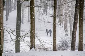 Bekijk meer ideeën over sneeuw, sneeuwwitje, sneeuwwitje disney. Posbank Gaat Dicht Als Sneeuw Verkeer In Gevaar Brengt Rheden Gelderlander Nl
