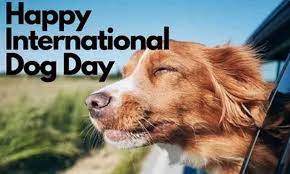 Dog day has been created so that all breeds of dogs are celebrated; International Dog Day Bollywood Stars Pose With Their Little Pets