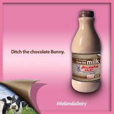 Hollandia dairy produces, processes and sells a full array of fresh branded and private label dairy products including milk, flavored milk, buttermilk, egg nog, half & half. Hollandia Dairy Photos Facebook