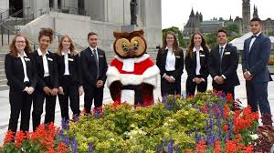 Canada's carbon price is constitutional, supreme court rules. A Note Of Appreciation For Amicus The Supreme Court Of Canada S Owl Mascot Huffpost Canada Life
