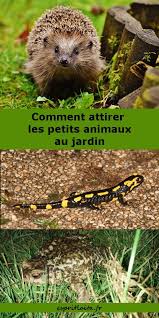 Jardiner Pour La Vie Sauvage Petits Animaux La Vie Sauvage Oiseaux Des Jardins
