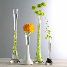 We did not find results for: Giemza Large Floor Vases Tall 1pc High Glass Vase For Home Decor Thin Single Flower Bottle No Dried Plant On Floor Decoration Vases Aliexpress