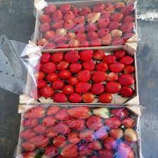 Super prix pour 750g + 250g gratuits fraises pour 2,29€ le kg existe aussi pour les framboises 500g + 250g gratuits. Vente De Fraise 3500 Fcfa Kg 60 Tonnes Cote D Ivoire Recherche De Client Espaceagro