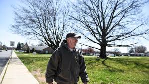 Sarah constructions building update for cancer council's '202 greenhill' project, march 2021. Palmyra Community Council Remember Hennessy