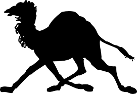 You can share it with your friends and also use it for your art and science projects. Camel Silhouette Clip Art Free Vector In Open Office Drawing Svg Svg Vector Illustration Graphic Art Design Format Format For Free Download 74 25kb
