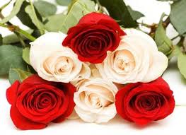 Chuc tet hay sms kute lời chuc tet ông đồ chúc tết sms tiếng anh chuc tet sms hot chuc tet chuc tet gia đình chuc tet bạn bè chuc tet đồng nghiệp. Cmsrc3nyedxaem