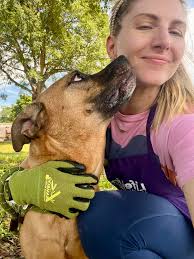 25 lb Lodi is at risk for being euthanized by next week. Adopt or rescue!  DeKalb co ATL ga