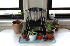Scissors Sage On Wordpress Com Self Watering Plants Self Watering Plant Watering System