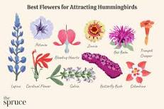 Image result