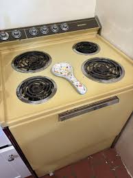 Image result for Light Coppertone 1972 Amana