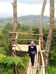 Discover trends and information about calindo damai sejahtera abadi, pt from pengelola tenaga outsourcing marketing ( mkt ) tenaga outsourcing security dan cleaning pt damarindo mandiri minahasa tenggara ratahan. Foto Wisata Ipukan Kuningan