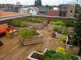Look no further than the roof to create a great space for cultivating plants and spending quality time in nature. Rooftop Garden Ideas For Android Apk Download
