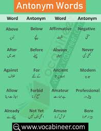 Opposite Words With Urdu Hindi Meanings Opposite Words In English English Vocabulary Words In Urdu Opposite Words Synonyms And Antonyms Learn English Words