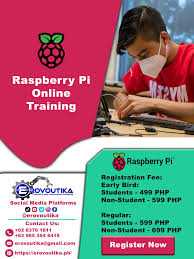 ERovoutika Electronics Robotics Automation