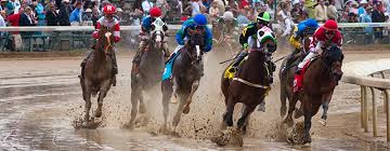 Image result for kentucky Derby