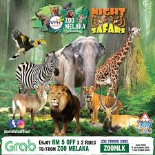 Harimau betina seberat 100 kilogram dilepaskan ke ruangan pameran pada sambutan hari malaysia bermula 14 september ini. Grab Your Way To Zoo Melaka Zoo Melaka Taman Burung Facebook
