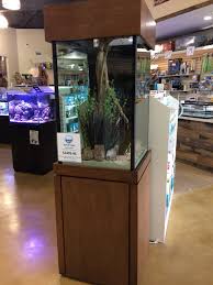 90 Gallon Tall Aquarium Gallon Cabinetry Aquarium