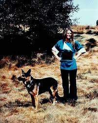 The six million dollar man and the bionic woman. Pin By Brandy Olsen On Interesting Bionic Woman Bionic Film Et
