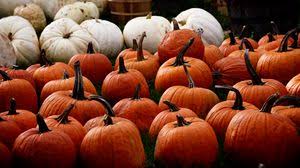 96,000+ vectors, stock photos & psd files. Pumpkin Wallpapers Hd Desktop Backgrounds Images And Pictures