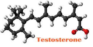Human chorionic gonadotropin (hcg) has a stimulatory effect on testicular steroidogenesis and penile growth. Uses Of Hcg Benefits You Didn T Know About Nutra Pure Hcg