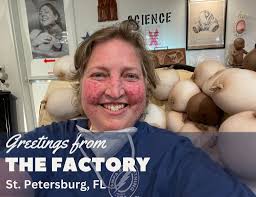 Postcards from Pinellas