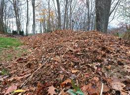 Depending on how many leaves you have in your yard, mowing over them when they are wet can clog up your lawn mower. Putting Leaves To Work Shredding 101 With Mike Mcgrath A Way To Garden